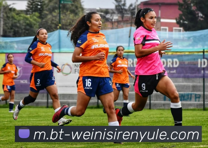 威尼斯人官网平台生态图